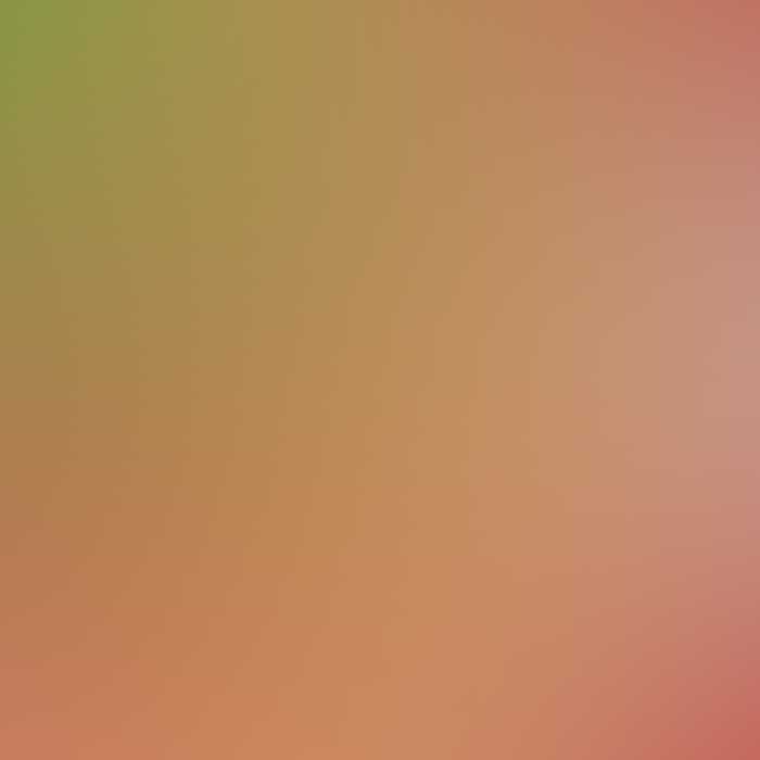 COCO メニュー表